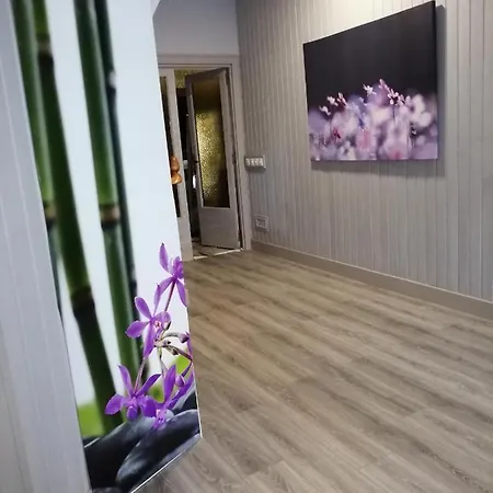 Bed & Breakfast Palma