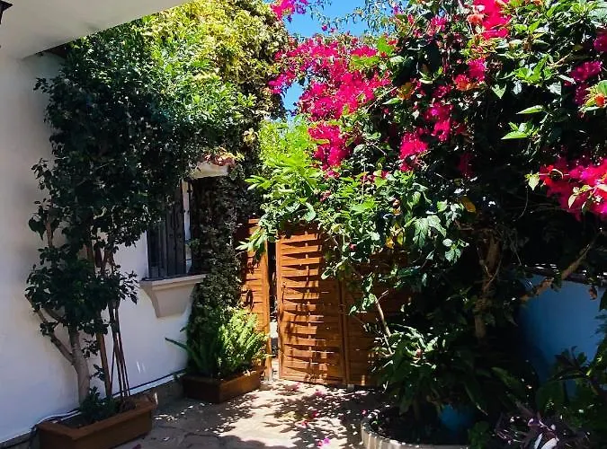 Alojamento de Acomodação e Pequeno-almoço Palma Marbella