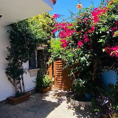 Nocleg ze śniadaniem Palma Marbella