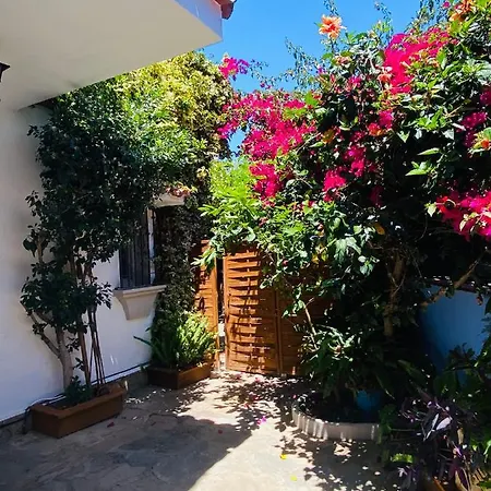 Frühstückspension Palma Marbella