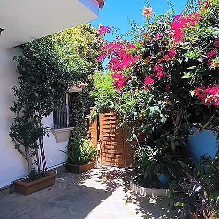 Bed & Breakfast Palma 3*