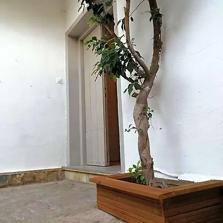 Palma 3*