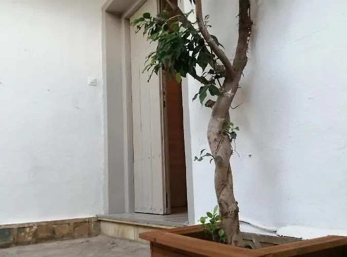 Bed & Breakfast Palma Marbella