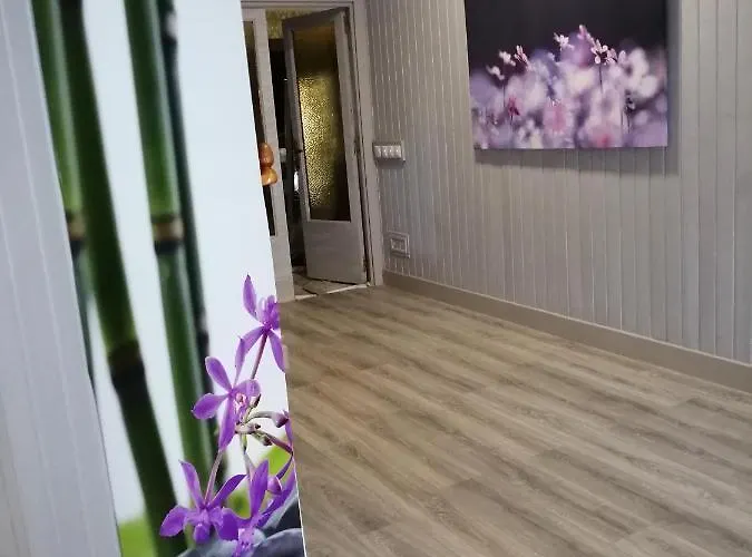 Bed & Breakfast Palma