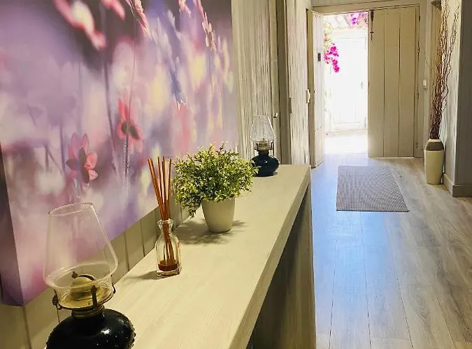 Bed & Breakfast Palma Marbella