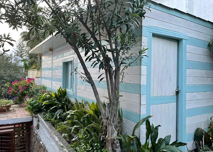 Palma Bed & Breakfast Marbella